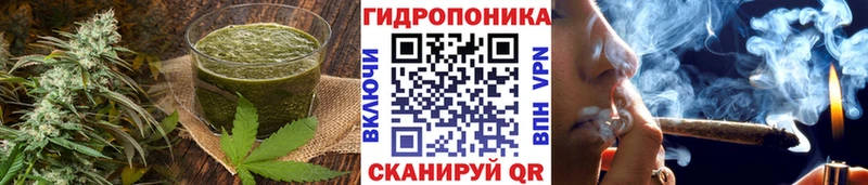 Canna-Cookies марихуана  блэк спрут ONION  Биробиджан 