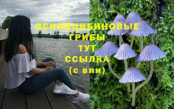 ГАЛЛЮЦИНОГЕННЫЕ ГРИБЫ Алзамай