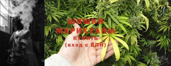 индика Козельск