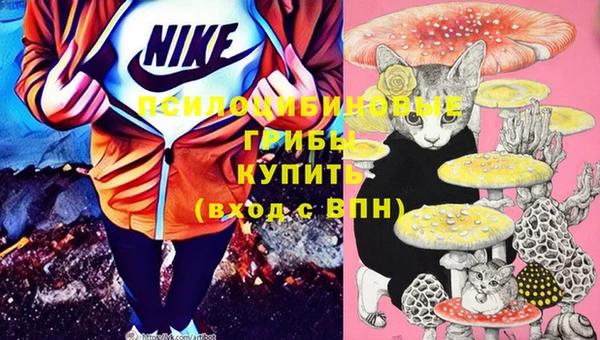 ГАЛЛЮЦИНОГЕННЫЕ ГРИБЫ Алзамай