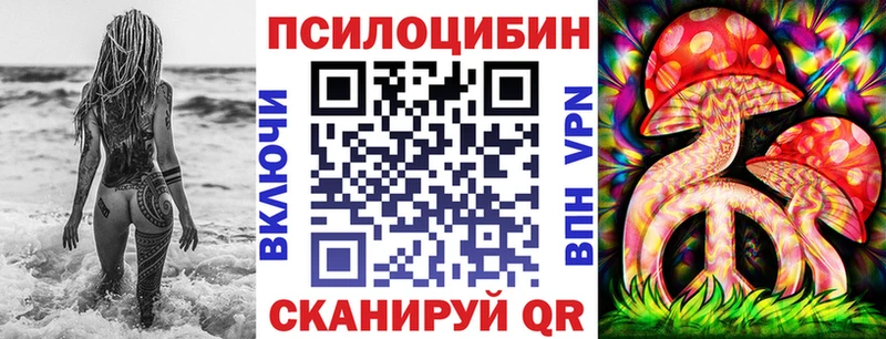 Псилоцибиновые грибы GOLDEN TEACHER  купить  цена  Биробиджан 