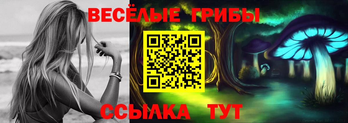 Галлюциногенные грибы Psilocybine cubensis Биробиджан